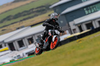 PJ-Motorsport-2019;anglesey-no-limits-trackday;anglesey-photographs;anglesey-trackday-photographs;enduro-digital-images;event-digital-images;eventdigitalimages;no-limits-trackdays;peter-wileman-photography;racing-digital-images;trac-mon;trackday-digital-images;trackday-photos;ty-croes